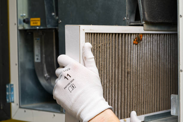 Best Professional Duct Cleaning Services  in Arizona City, AZ