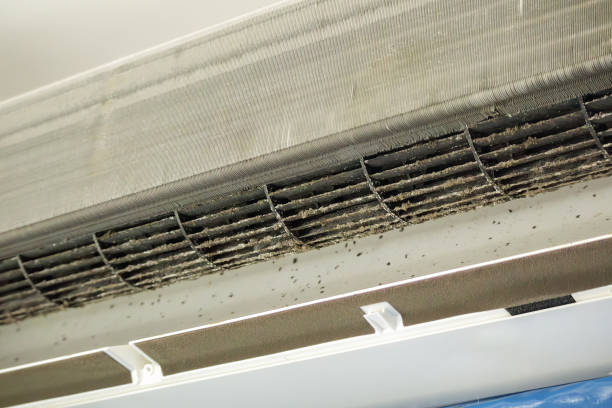 Best Emergency Air Duct Cleaning  in Arizona City, AZ